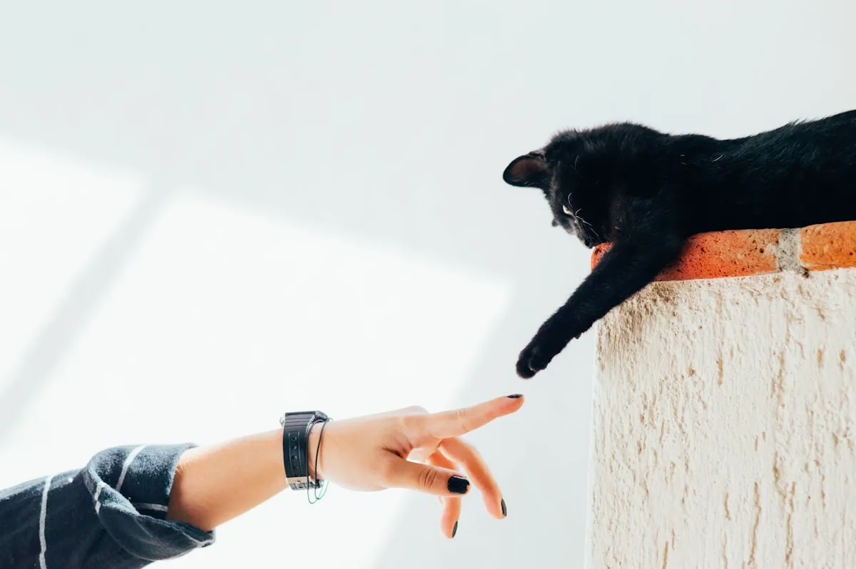 Pets Are Enormous Duty But Assist To Maintain You Nutritious And Happy Pets Are Enormous Duty But Assist To Maintain You Nutritious And Happy