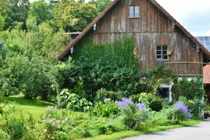 10 Belongings You Didn’t Find Out About Are Home Gardens Good For The Environment