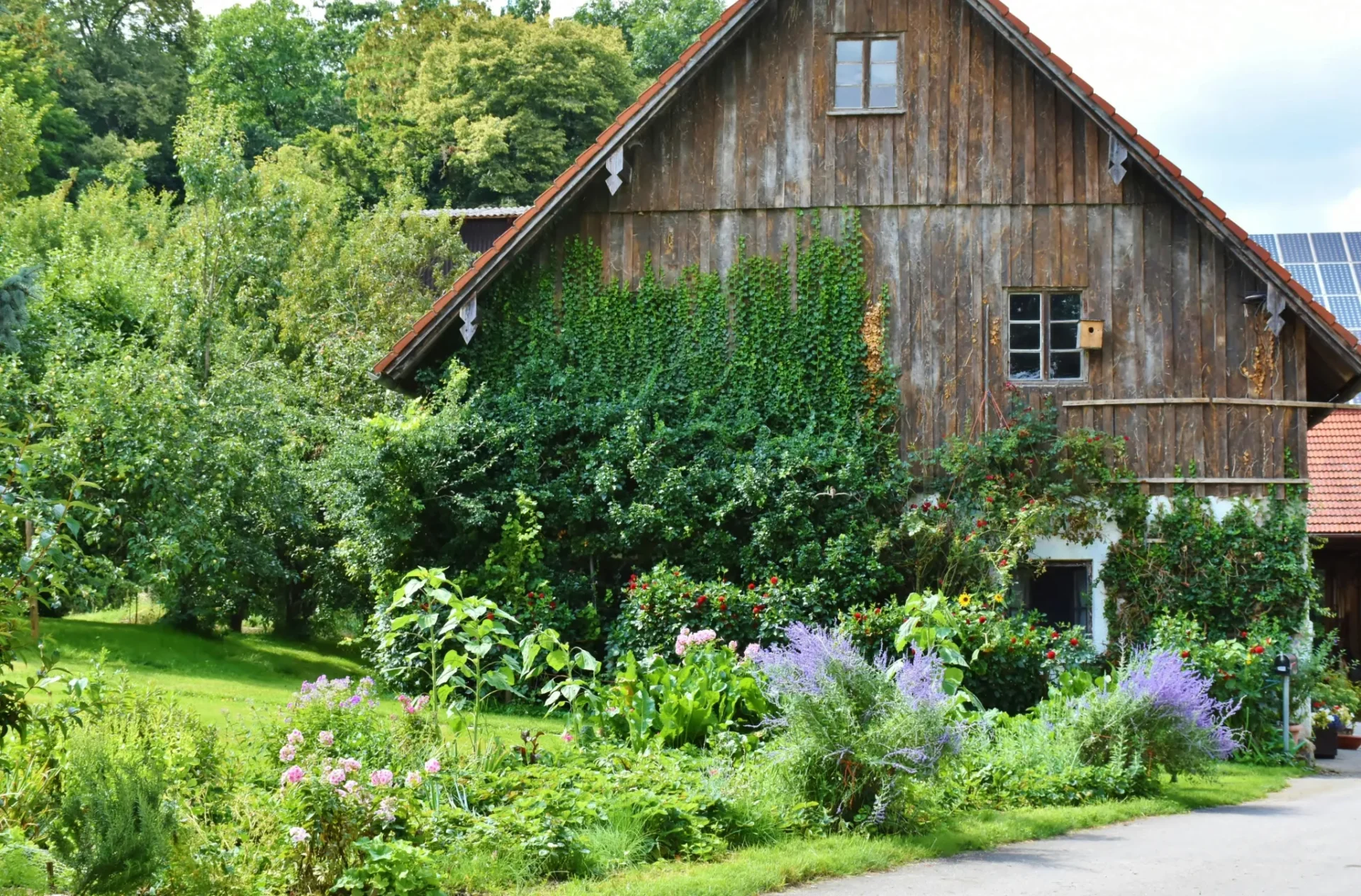 10 Belongings You Didn’t Find Out About Are Home Gardens Good For The EnvironmentReviewed by Cole Ramirez - Soil and Pest Reviewer 10 Belongings You Didn’t Find Out About Are Home Gardens Good For The EnvironmentReviewed by Cole Ramirez - Soil and Pest Reviewer