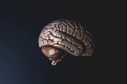 10 Signs You Made A Fantastic Affect On Theory Of Mind Ai Examples