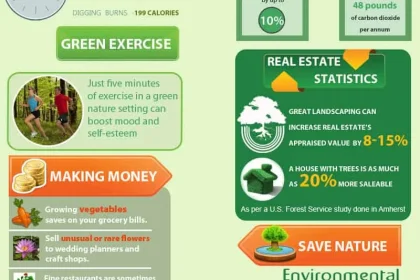 3 Examples Of Are Home Gardens Good For The Environment