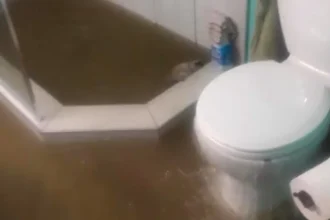 3 Rules About Flood Bathroom Meant To Be Broken