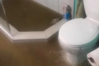 3 Rules About Flood Bathroom Meant To Be Broken