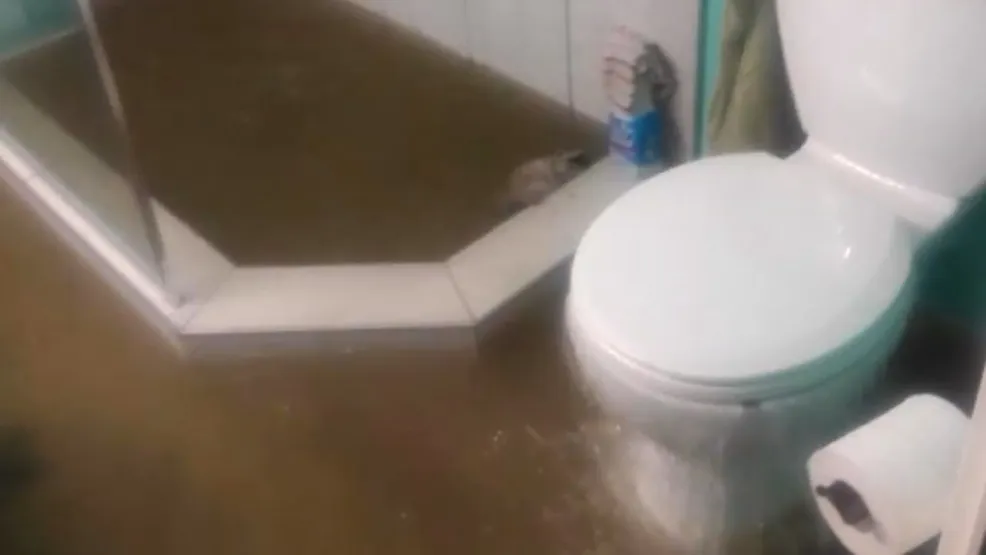 3 Rules About Flood Bathroom Meant To Be BrokenReviewed by Jordan Blake - Space Planning Editor 3 Rules About Flood Bathroom Meant To Be BrokenReviewed by Jordan Blake - Space Planning Editor