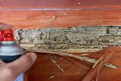 4 Suggestions for Termite Damage on Hardwood Floors Success