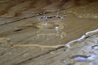 5 More Causes To Be Excited About Water Damage From Roof
