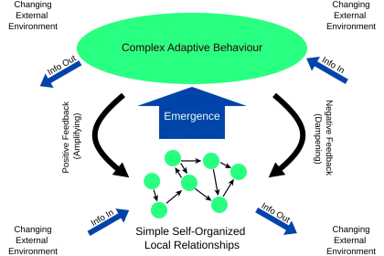 6 Questions Answered About Theory Of Mind And Self Awareness Ai