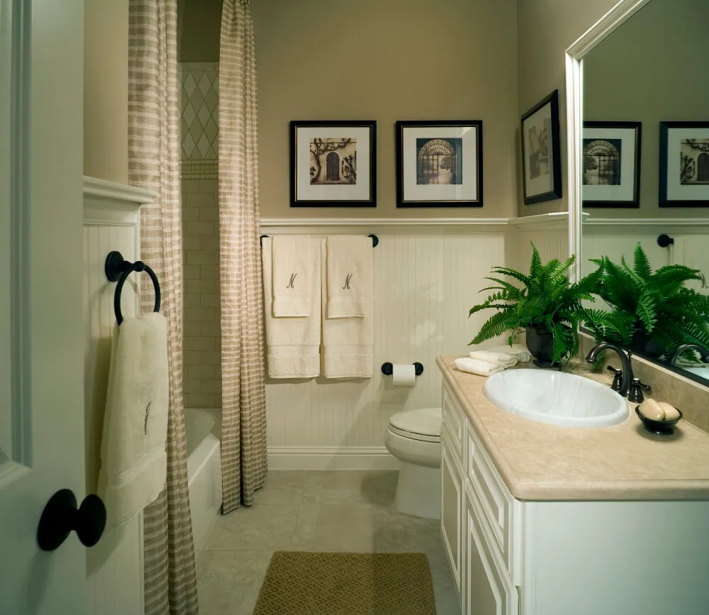 7 Ways A Best Bathroom Paint to Prevent Mold Lies to You EverydayReviewed by Madison Clark - Interior Layout Reviewer 7 Ways A Best Bathroom Paint to Prevent Mold Lies to You EverydayReviewed by Madison Clark - Interior Layout Reviewer