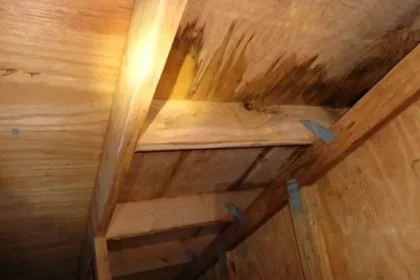 9 Warning Indicators of Your Water Damage in Attic Demise