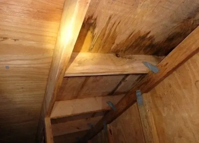 9 Warning Indicators of Your Water Damage in Attic DemiseReviewed by Rachel Kim - Material and Finish Reviewer 9 Warning Indicators of Your Water Damage in Attic DemiseReviewed by Rachel Kim - Material and Finish Reviewer