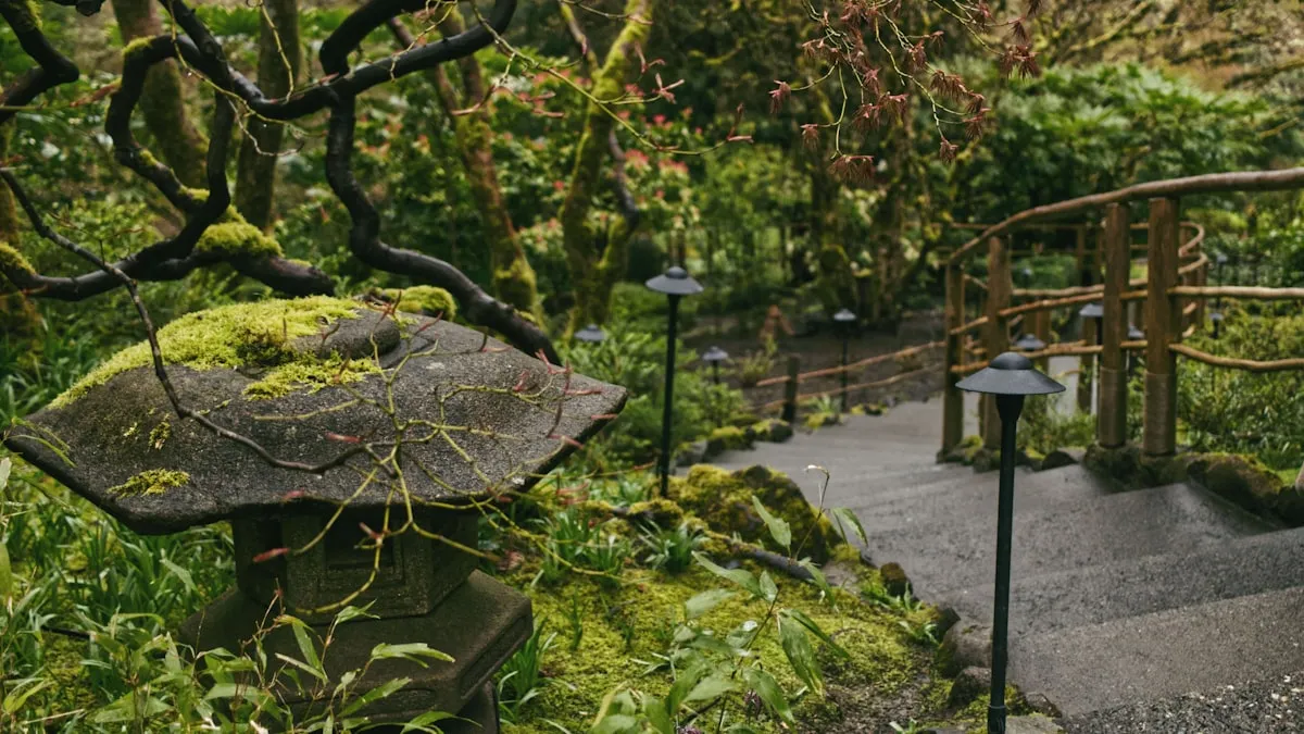 A Bog In The Garden?Reviewed by Cole Ramirez - Soil and Pest Reviewer A Bog In The Garden?Reviewed by Cole Ramirez - Soil and Pest Reviewer