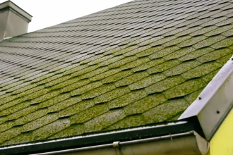 An Analysis Of 12 Prevent Moss on Roof Strategies… Here is What We Learned
