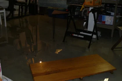 An Analysis Of 12 Water Damage To Floors Methods… Here is What We Discovered