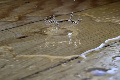 An Analysis Of 12 Wood Floor Water Damage Repair Strategies… This is What We Learned