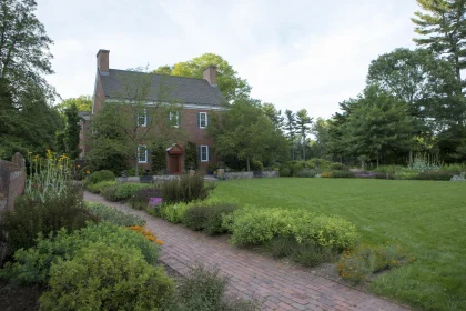 Are Home Gardens Good For The Environment – An Summary