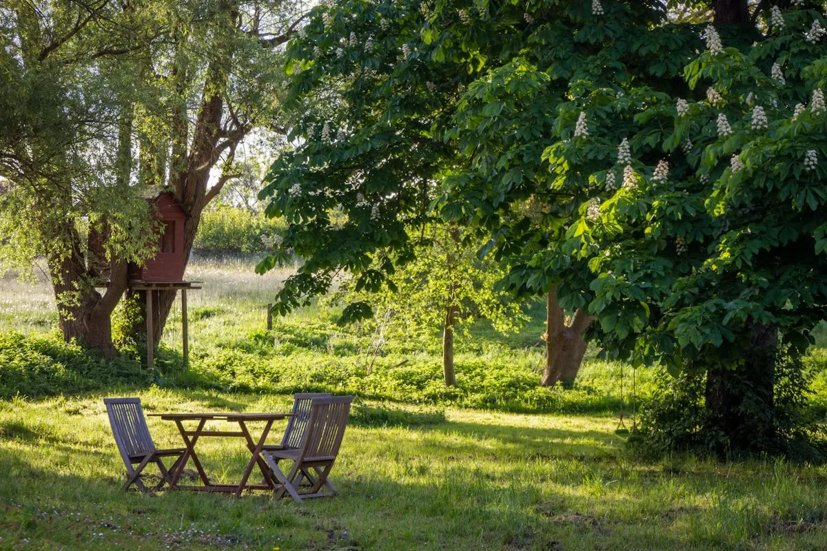 Are Such Bargains Worth The Price?Reviewed by Logan Fisher - Home Gardening Reviewer Are Such Bargains Worth The Price?Reviewed by Logan Fisher - Home Gardening Reviewer