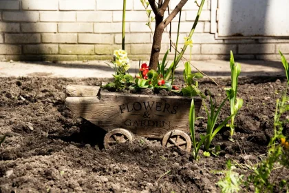 Arguments of Getting Rid Of Are Home Gardens Good For The Environment