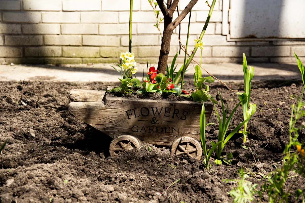 Arguments of Getting Rid Of Are Home Gardens Good For The EnvironmentReviewed by Hannah Price - Outdoor Basics Reviewer Arguments of Getting Rid Of Are Home Gardens Good For The EnvironmentReviewed by Hannah Price - Outdoor Basics Reviewer
