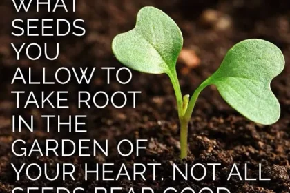 Be Especially Careful When Harvesting Seeds