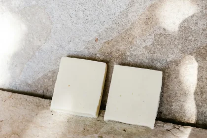 Death, How to Prevent Mold in Closet and Taxes: Tricks to Avoiding How to Prevent Mold in Closet