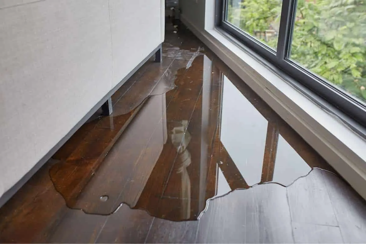 Does Your Wood Floor Water Damage Repair Objectives Match Your Practices?Reviewed by Tyler Hughes - Renovation Basics Editor Does Your Wood Floor Water Damage Repair Objectives Match Your Practices?Reviewed by Tyler Hughes - Renovation Basics Editor