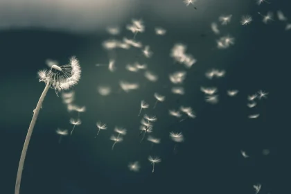 Dont Waste Time! 9 Info Till You Reach Your Theory Of Mind And Self Awareness Ai