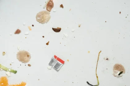Double Your Profit with These 5 Tips on Prevent Mold in Bathroom
