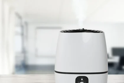 Dying, How To Prevent Mold In Humidifier And Taxes: Tricks To Avoiding How To Prevent Mold In Humidifier