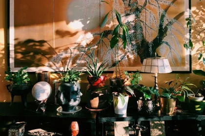 Easy Methods To Make Extra Are Home Gardens Good For The Environment By Doing Much Less