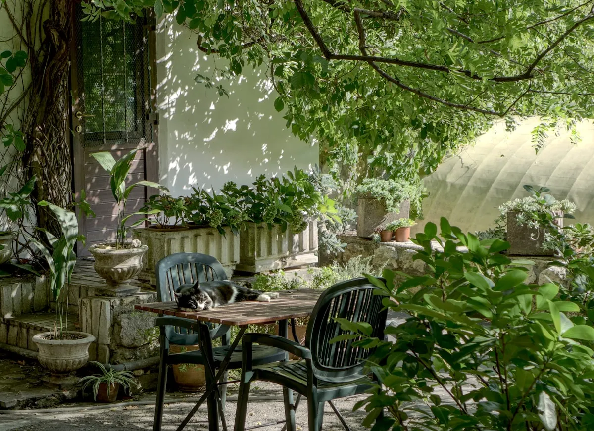 Ever Considered a Bog in Your Backyard Garden? Discover the Secret Now!Reviewed by Hannah Price - Outdoor Basics Reviewer Ever Considered a Bog in Your Backyard Garden? Discover the Secret Now!Reviewed by Hannah Price - Outdoor Basics Reviewer