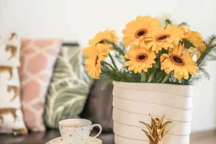 Fascinating Are Home Gardens Good For The Environment Ways That May also help Your online business Develop