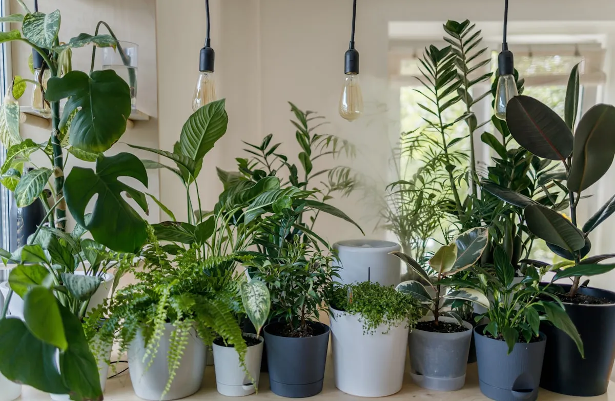 Four Signs You Made An Awesome Impression On Are Home Gardens Good For The EnvironmentReviewed by Cole Ramirez - Soil and Pest Reviewer Four Signs You Made An Awesome Impression On Are Home Gardens Good For The EnvironmentReviewed by Cole Ramirez - Soil and Pest Reviewer