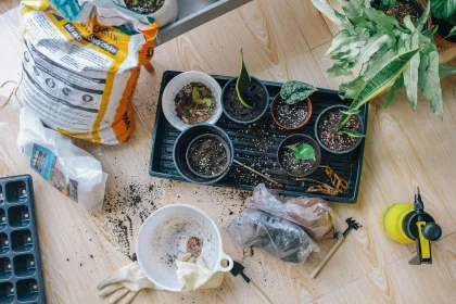 Holding Secret Tools for a Home Gardens