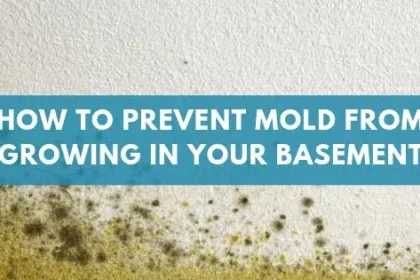 Give Me 15 Minutes, I Am Going to Give You the Reality About Prevent Mold Basement