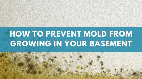 Give Me 15 Minutes, I Am Going to Give You the Reality About Prevent Mold BasementReviewed by Jordan Blake - Space Planning Editor Give Me 15 Minutes, I Am Going to Give You the Reality About Prevent Mold BasementReviewed by Jordan Blake - Space Planning Editor