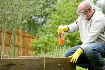 Home Gardens: The Ultimate Game Changer in Reducing Stormwater Runoff and Water Pollution!