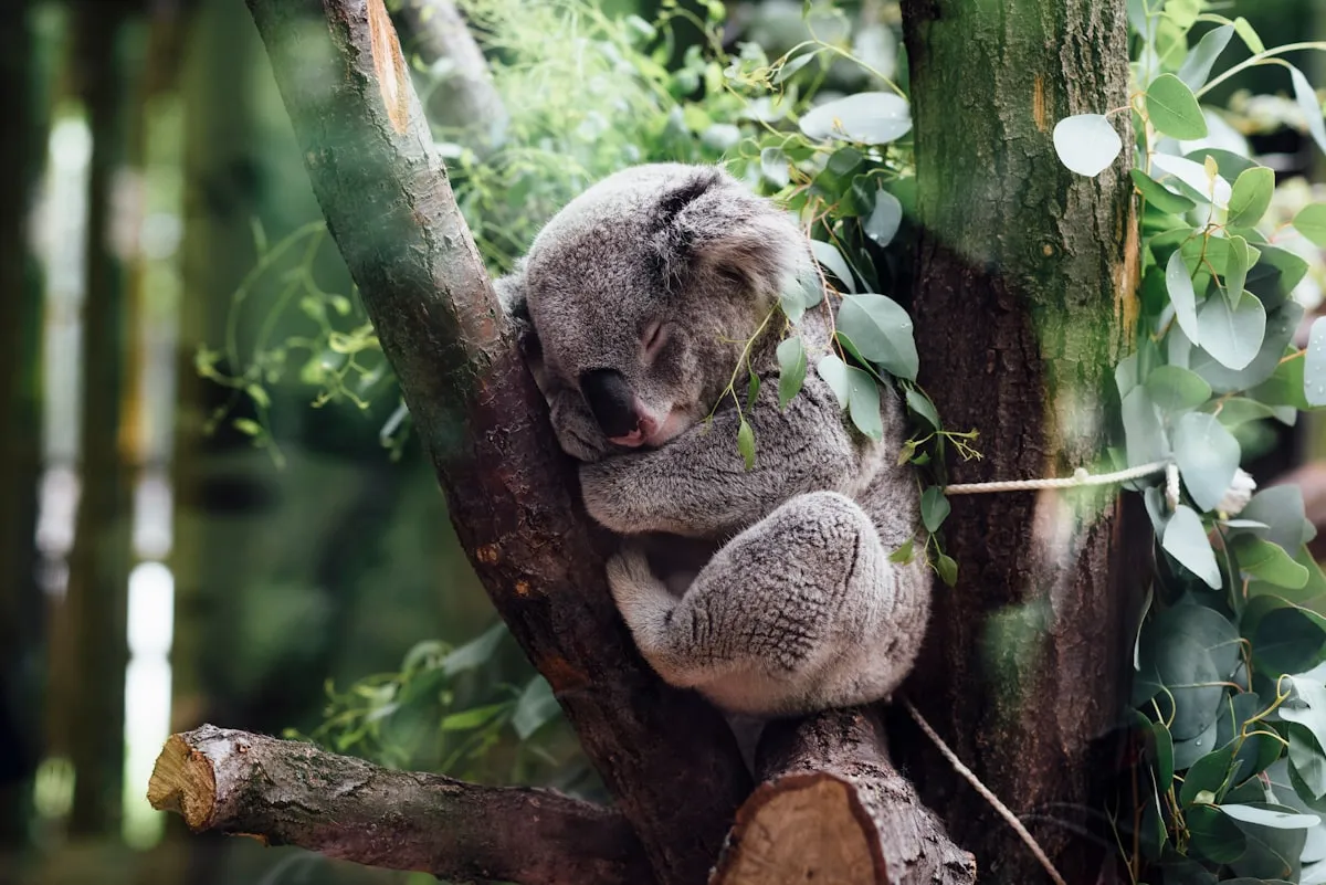 How To Attract Wildlife Into Your GardenReviewed by Hannah Price - Outdoor Basics Reviewer How To Attract Wildlife Into Your GardenReviewed by Hannah Price - Outdoor Basics Reviewer