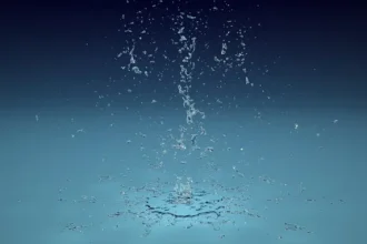 How To Fix Water Damage On Wood At A Glance