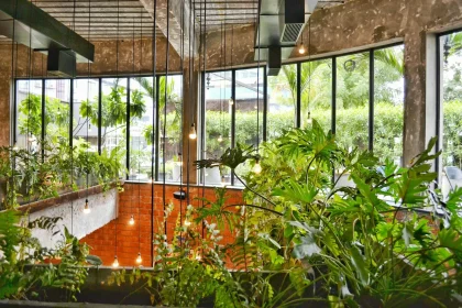 How to Reinvent Your Are Home Gardens Without Planting