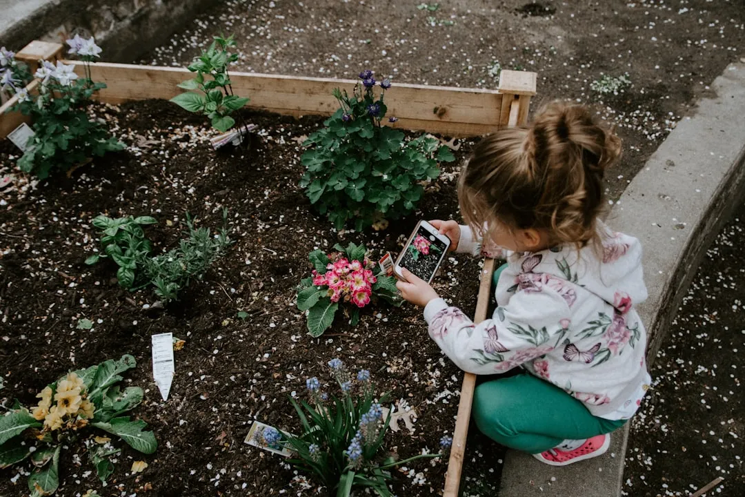 How’s That For Selection?Reviewed by Ben Lawson - Practical Garden Tips Editor
