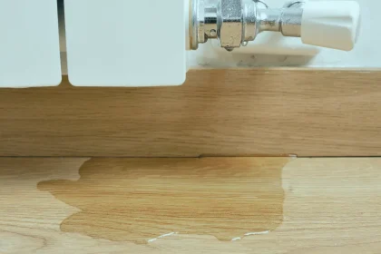 I Don’t Need to Spend This Lot of Time on Water Damage in the Attic. How About You?