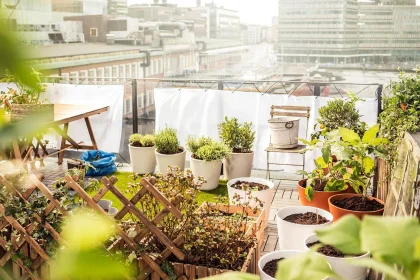 Nine Fashionable Ideas In Your Are Home Gardens Good For The Environment
