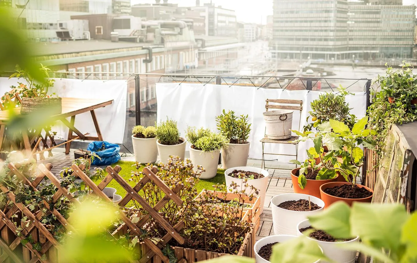 Nine Fashionable Ideas In Your Are Home Gardens Good For The EnvironmentReviewed by Erin Wallace - Plant Care Editor Nine Fashionable Ideas In Your Are Home Gardens Good For The EnvironmentReviewed by Erin Wallace - Plant Care Editor