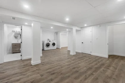 Preventing Mold Basement Secrets and Techniques