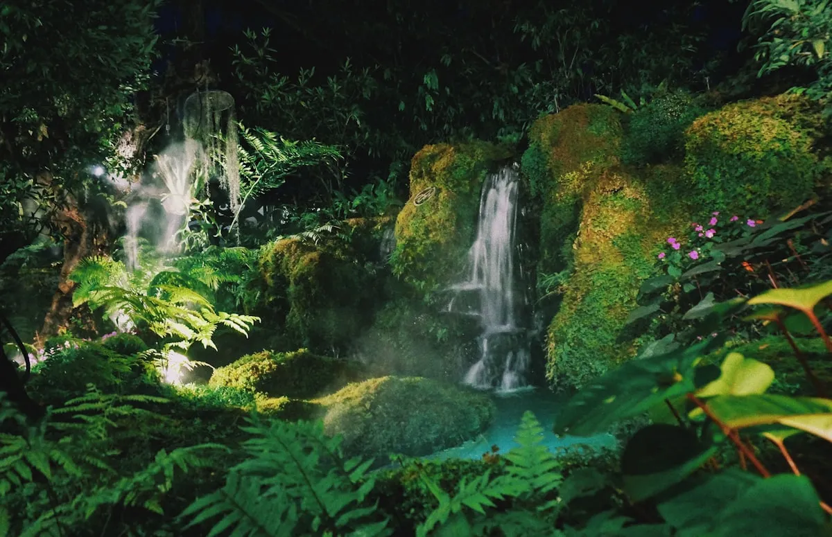 Can We Replant the Planets Rainforests?Reviewed by Cole Ramirez - Soil and Pest Reviewer Can We Replant the Planets Rainforests?Reviewed by Cole Ramirez - Soil and Pest Reviewer