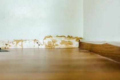 Read This to Alter How You Baseboard Water Damage
