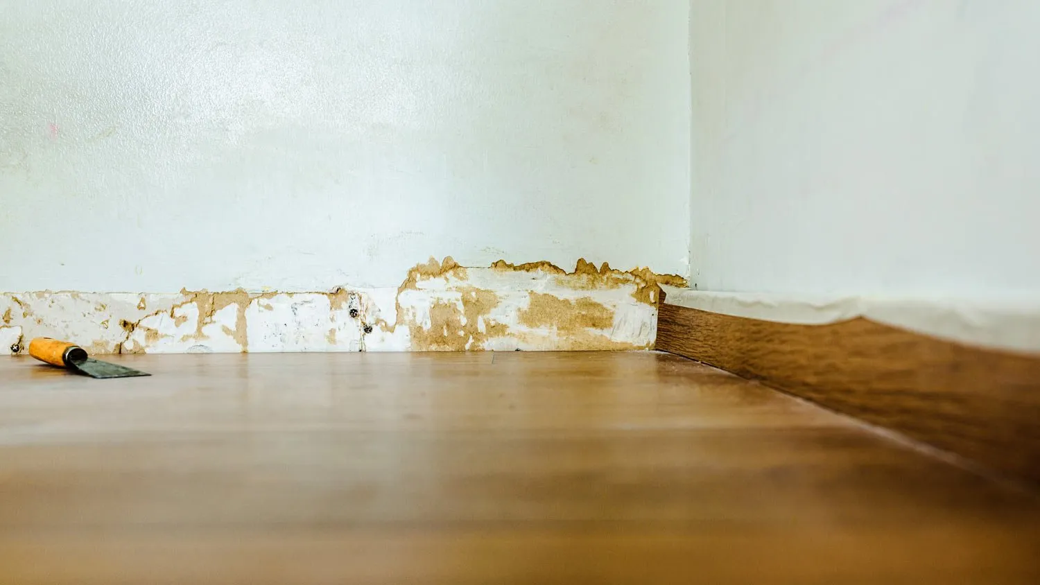 Read This to Alter How You Baseboard Water DamageReviewed by Tyler Hughes - Renovation Basics Editor Read This to Alter How You Baseboard Water DamageReviewed by Tyler Hughes - Renovation Basics Editor