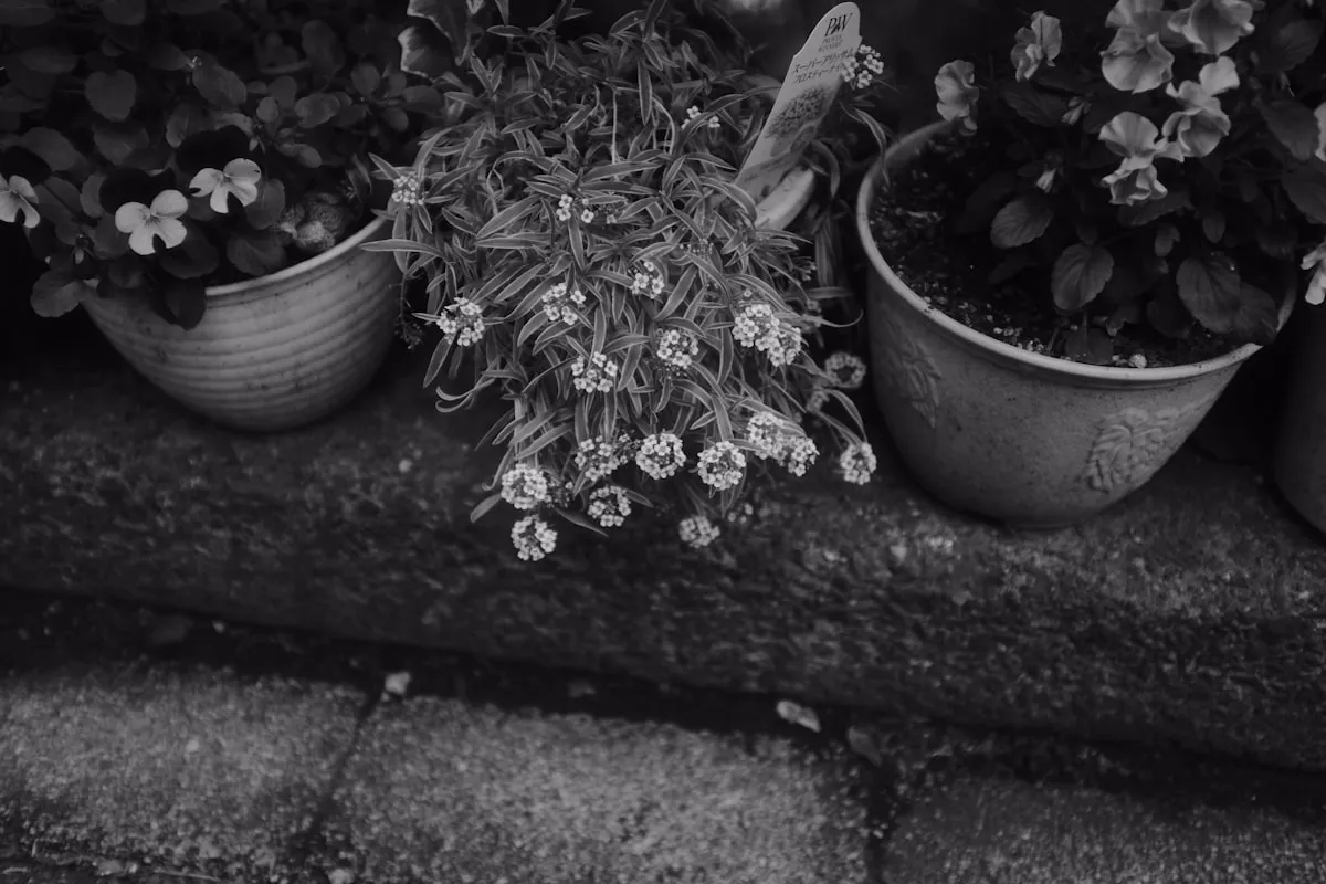 Seven Scary Are Home Gardens Good For The Environment IdeasReviewed by Hannah Price - Outdoor Basics Reviewer