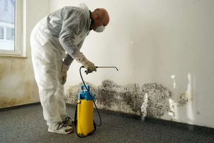 Shopping For How to Prevent Mold in House
