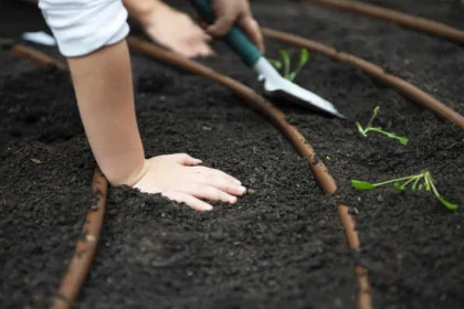 So How Do You Amend Soil?